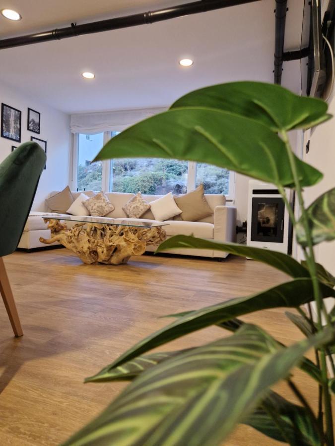 Brand New Apartment Very Cosy And Awesome Display Close To The Ski Slope! Private Parking سْييرا نيفادا المظهر الخارجي الصورة